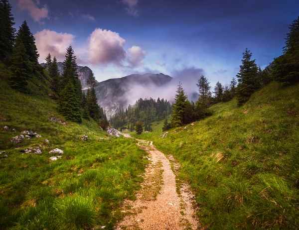 Μονοπάτι στη φύση με βουνά στο βάθος